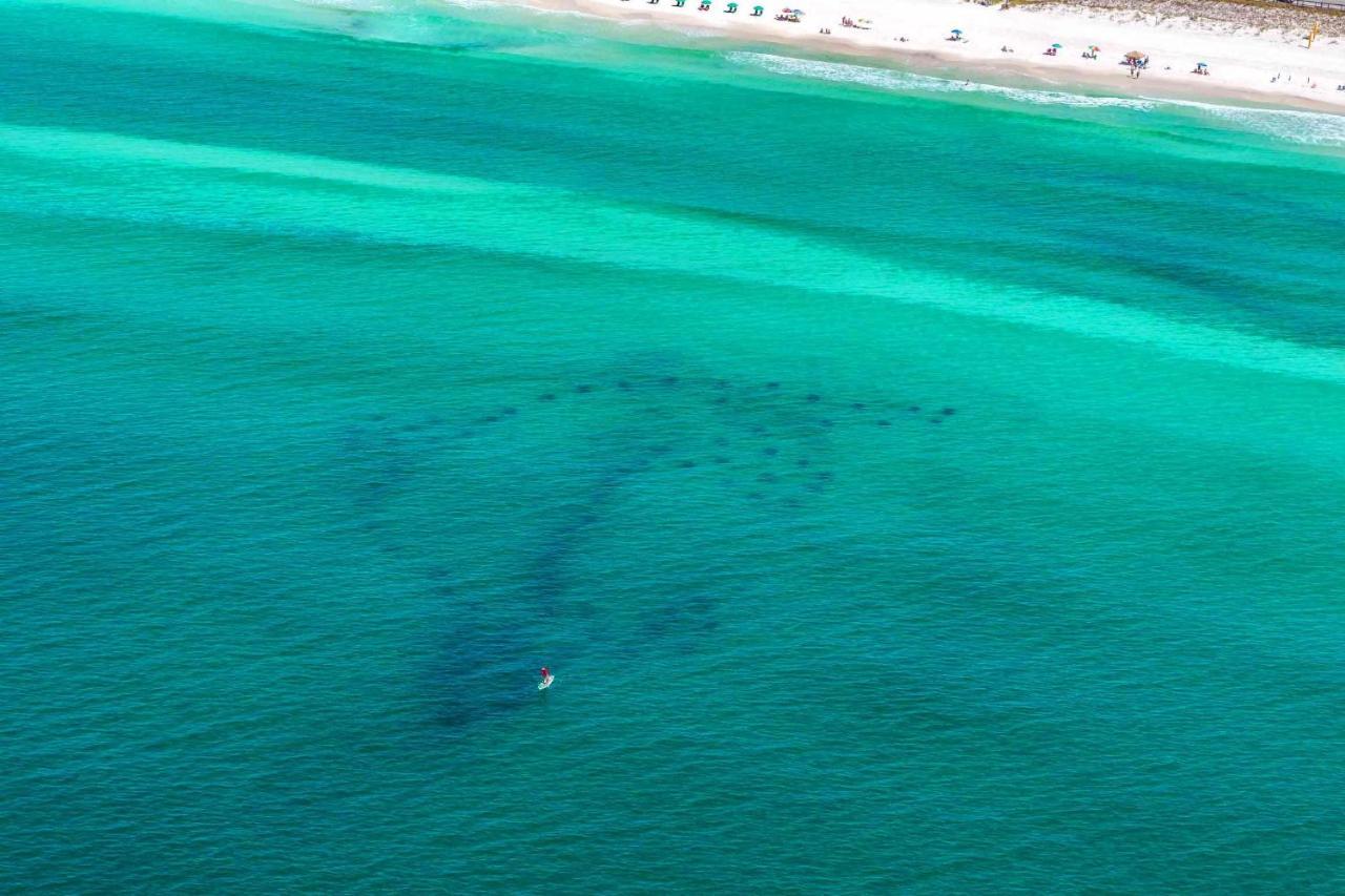 Neptune'S Nook Villa Destin Eksteriør billede